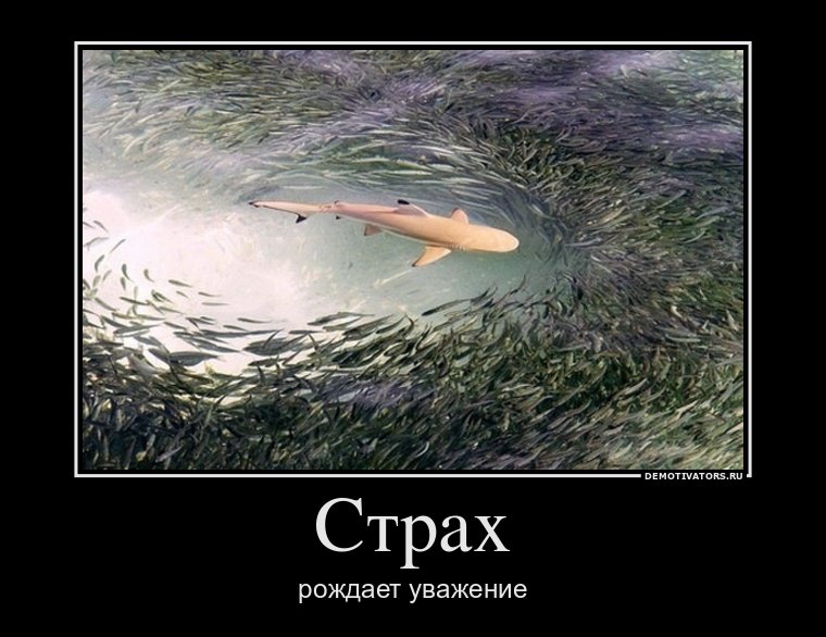 Как сделать чтобы меня боялись и уважали Как сделать чтобы меня боялись и уважали